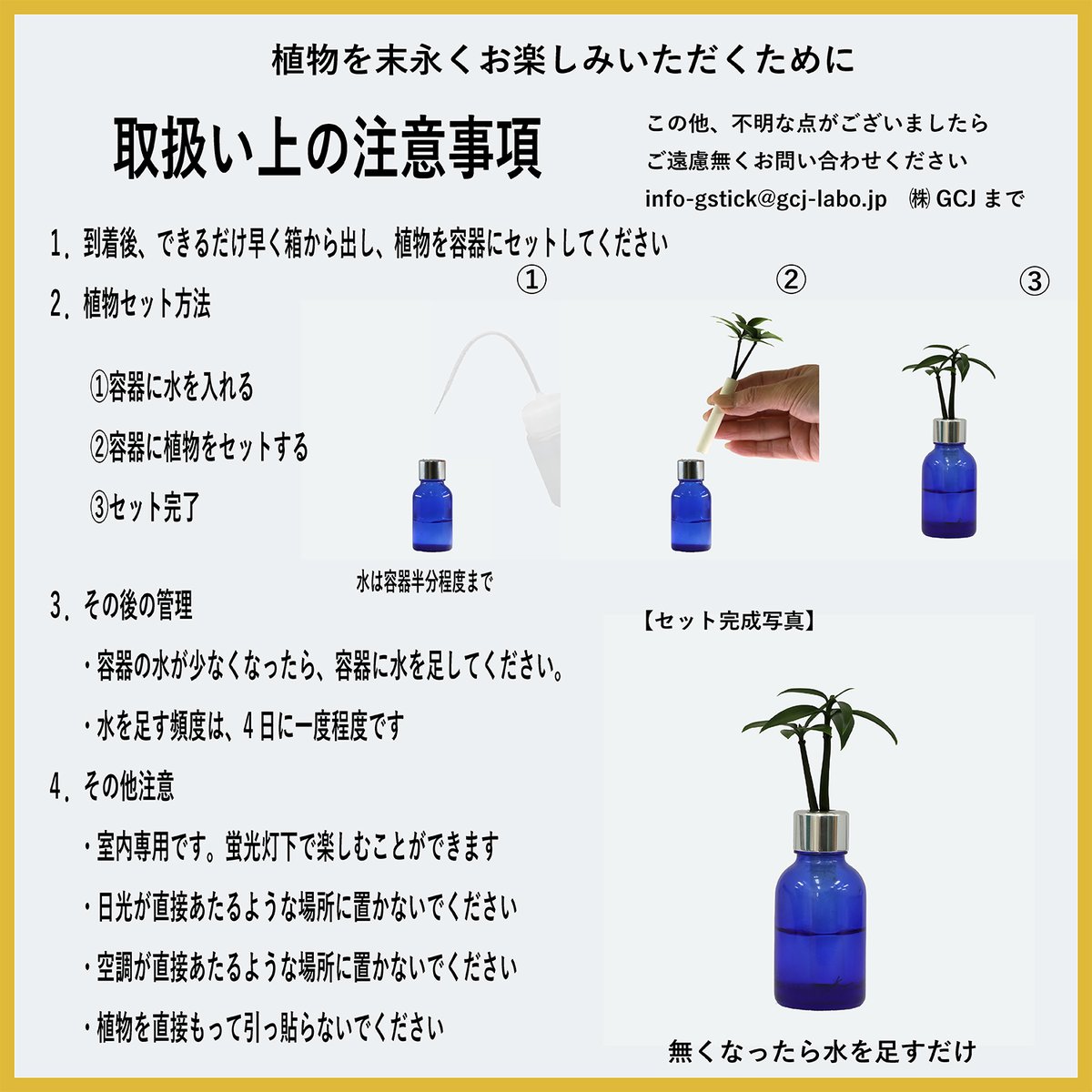 G-STICK】 観葉植物 マキの木（槇 慈愛/色褪せぬ恋） Earth Bottle -