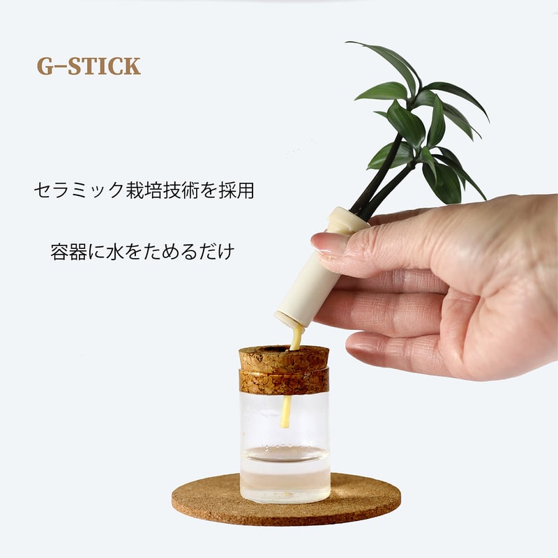 梛(ナギ)の木」「槇(マキ)の木」と『理系ガラス瓶』2個 | G−STICK