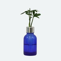 【G-STICK】 観葉植物 マキの木（槇 慈愛/色褪せぬ恋） Earth Bottle - Roumd｜セラミック栽培（土なし・自動給水）｜水やり簡単 インテリアグリーン