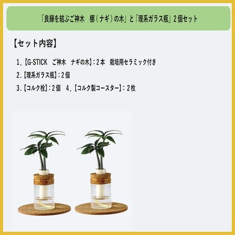 「梛(ナギ)の木」と『理系ガラス瓶』２個