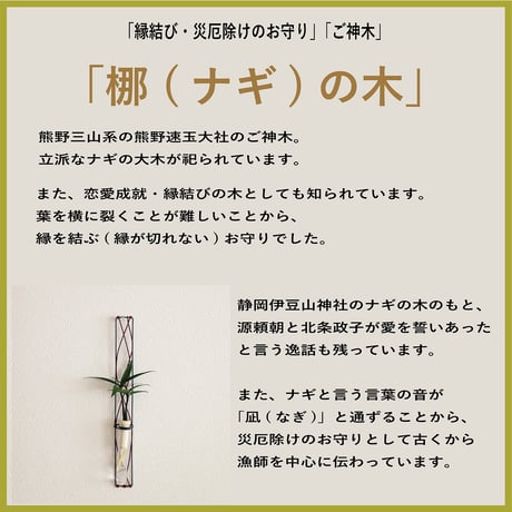 「梛 (なぎ) の木」と『ブラックフレーム』