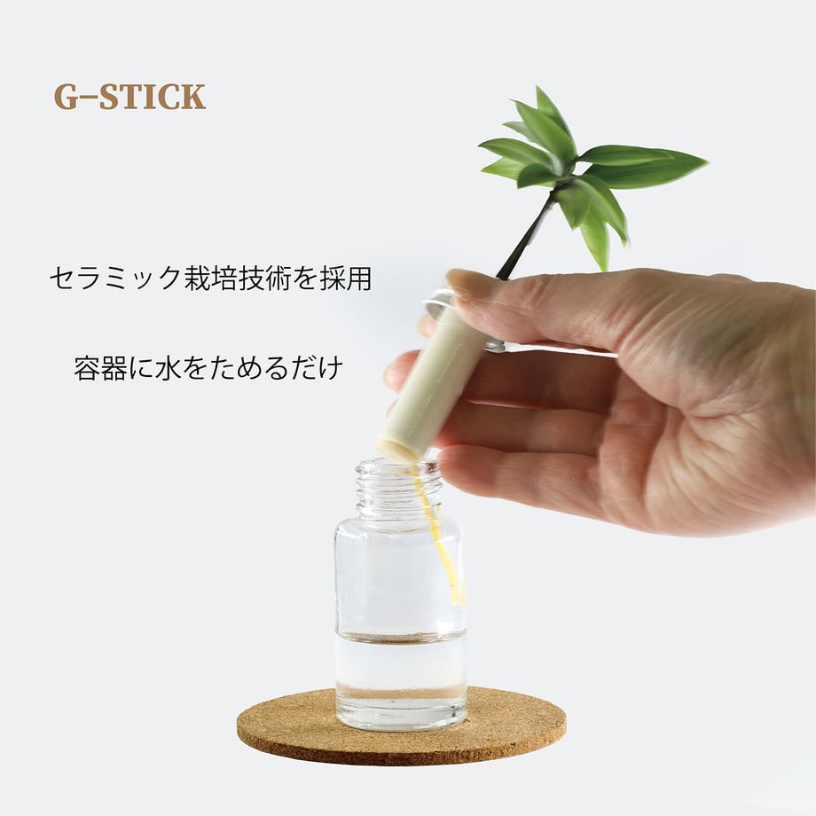 6854d030cbce52154ac70877