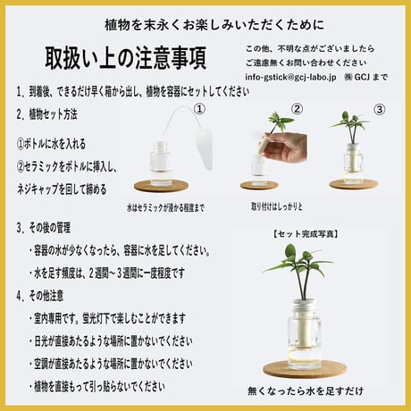 「槇(マキ)の木」と『ミニボトル』 1個