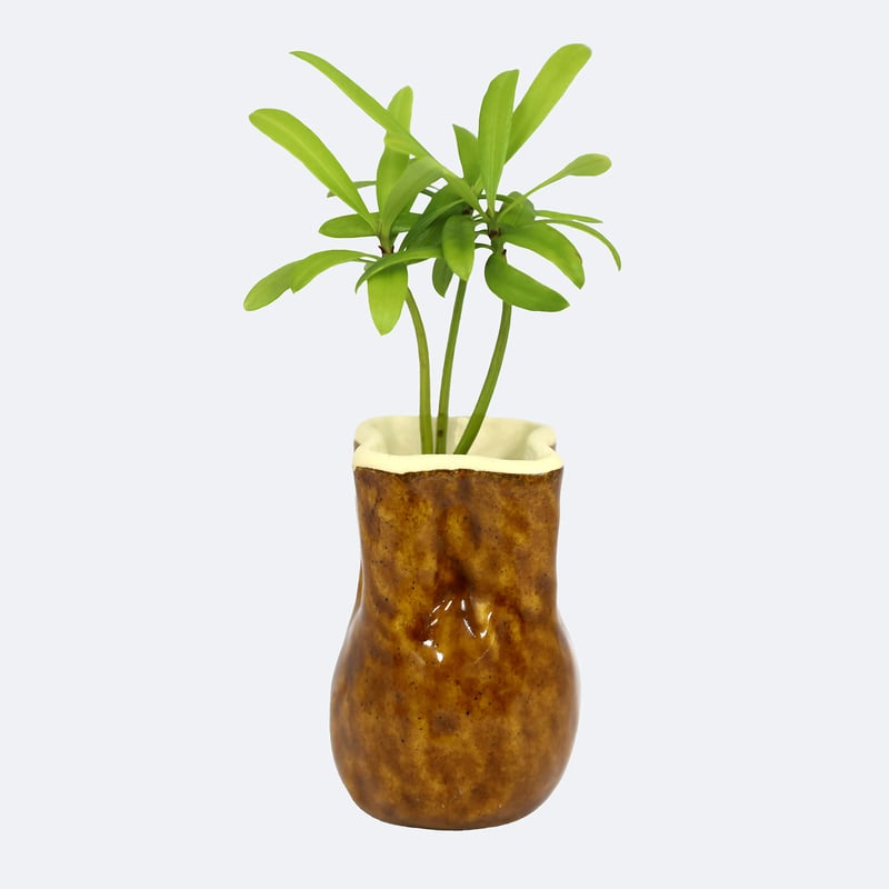 あんずの木　薪　マキ もりずむのマキ（薪の販売・配達） | NPO法人もりずむ