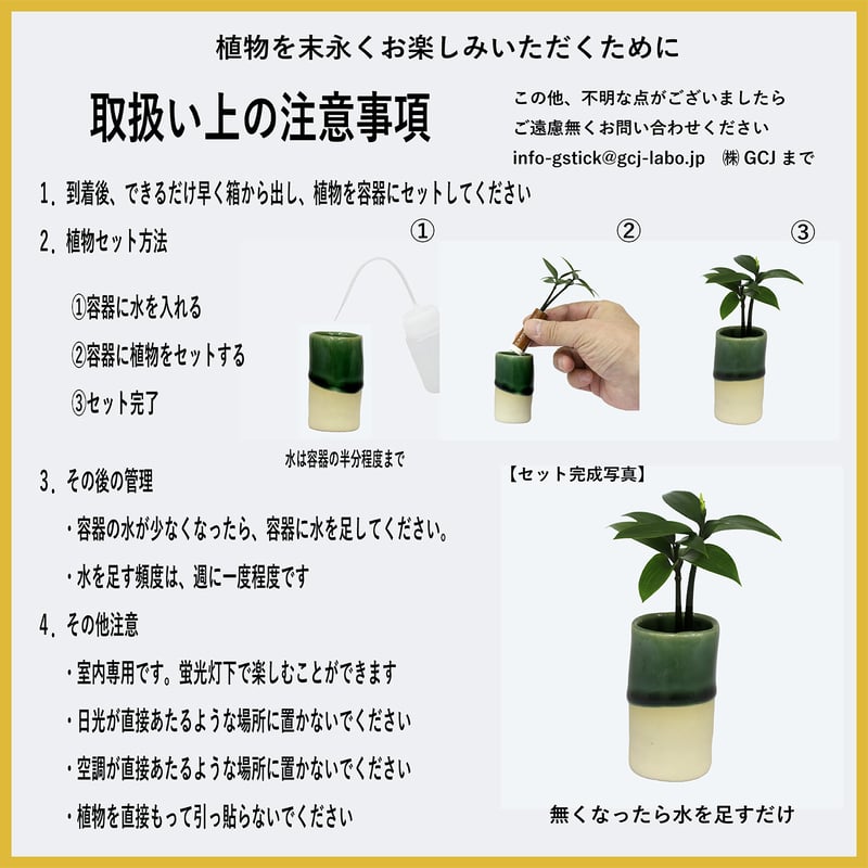 槇(まき)の木」と「円筒水盆器 竹」 | G−STICK