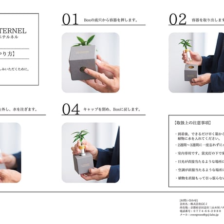 VERT ÉTERNEL 【Ash Box】Nanten -南天-