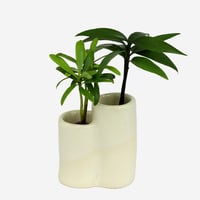 「梛(ナギ)の木」「槇(まき)の木」と「二輪円筒水盆器」