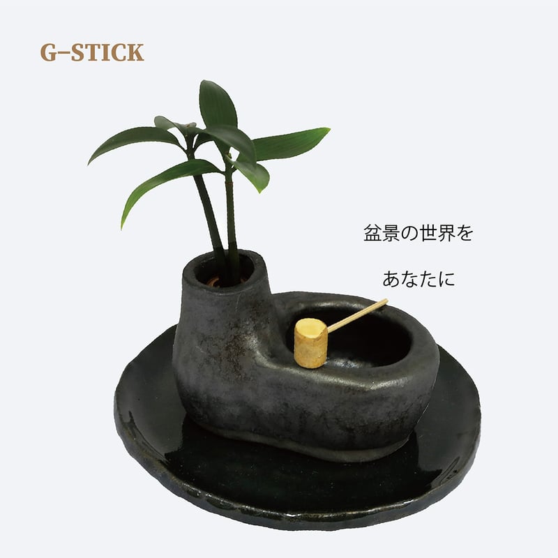 梛(ナギ)の木」と「たまり石」 | G−STICK