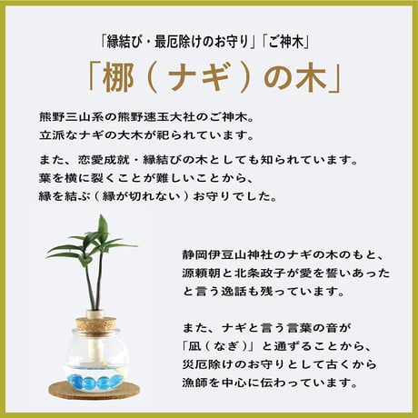 「梛(ナギ)の木」「槇(マキ)の木」と『タマビン』 2個