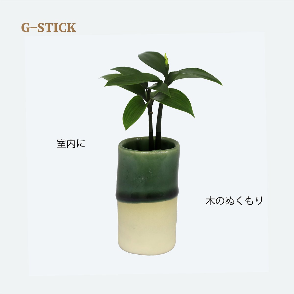 槇(まき)の木」と「円筒水盆器 竹」 | G−STICK
