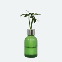 【G-STICK】 観葉植物 マキの木（槇 慈愛/色褪せぬ恋） Earth Bottle - Roumd｜セラミック栽培（土なし・自動給水）｜水やり簡単 インテリアグリーン