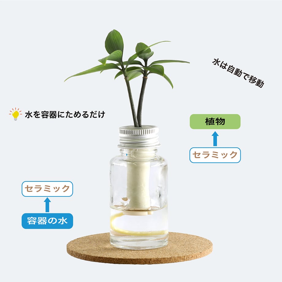 6854d030cbce52154ac70877