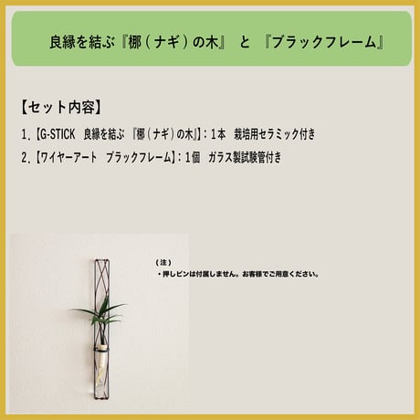 「梛 (なぎ) の木」と『ブラックフレーム』