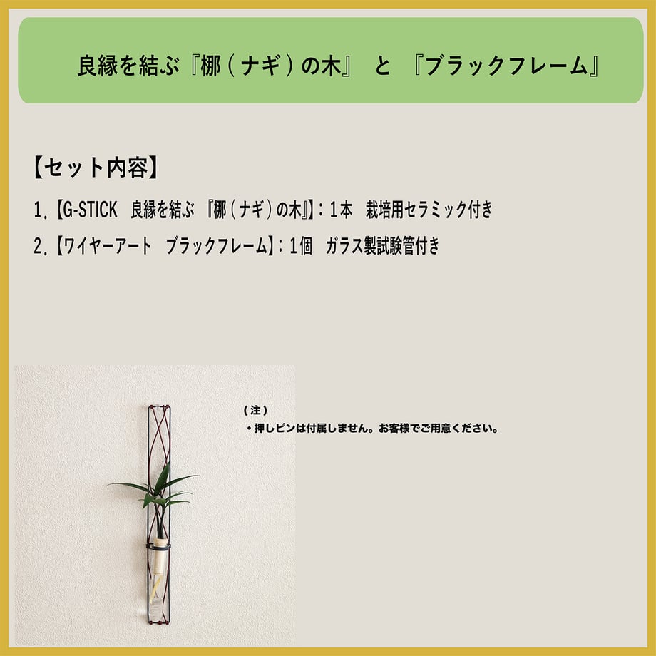 65b8abfdccd49a00320ada01