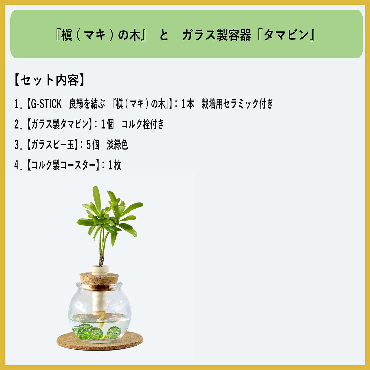 槇(マキ)の木」と『タマビン』1個 『籐籠付き』 | G−STICK