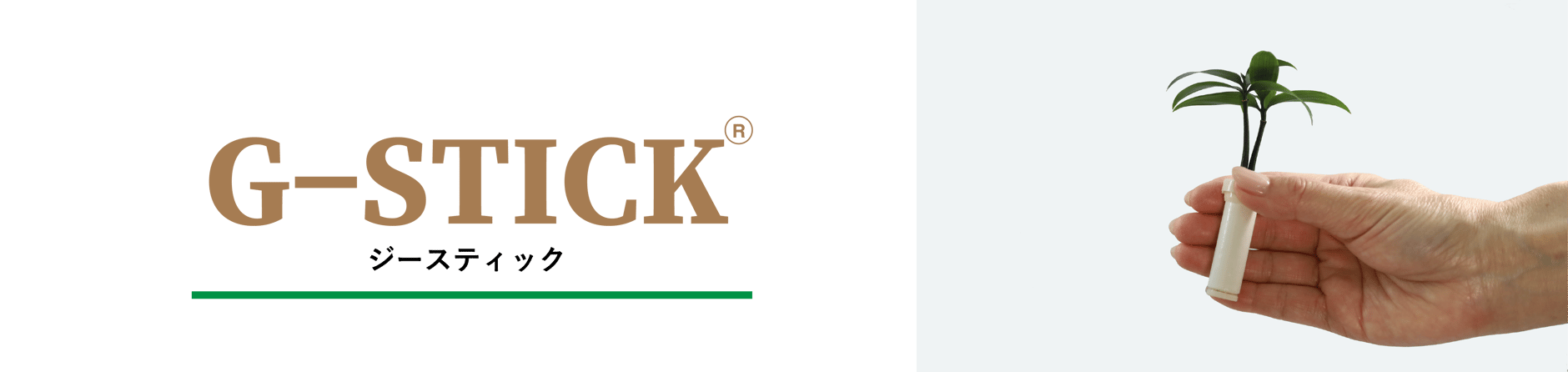 Ｇ−ＳＴＩＣＫ