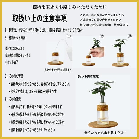 「梛(ナギ)の木」と『理系ガラス瓶』２個