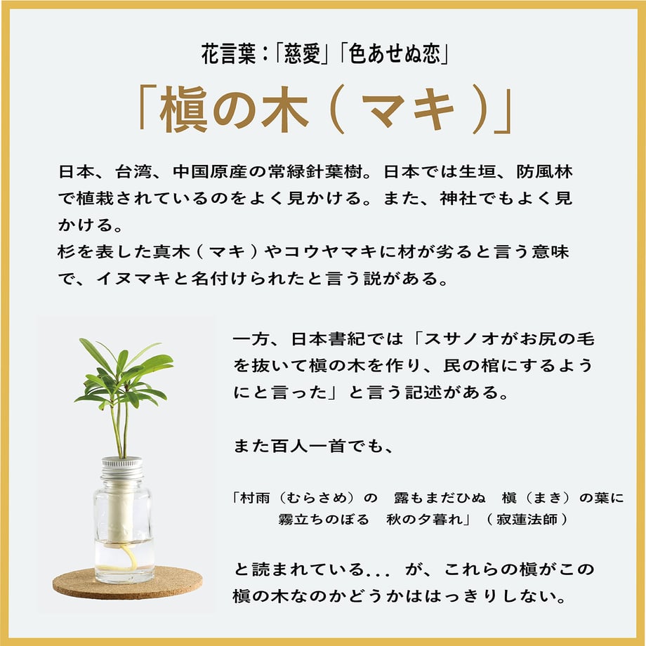 6854d030cbce52154ac70877