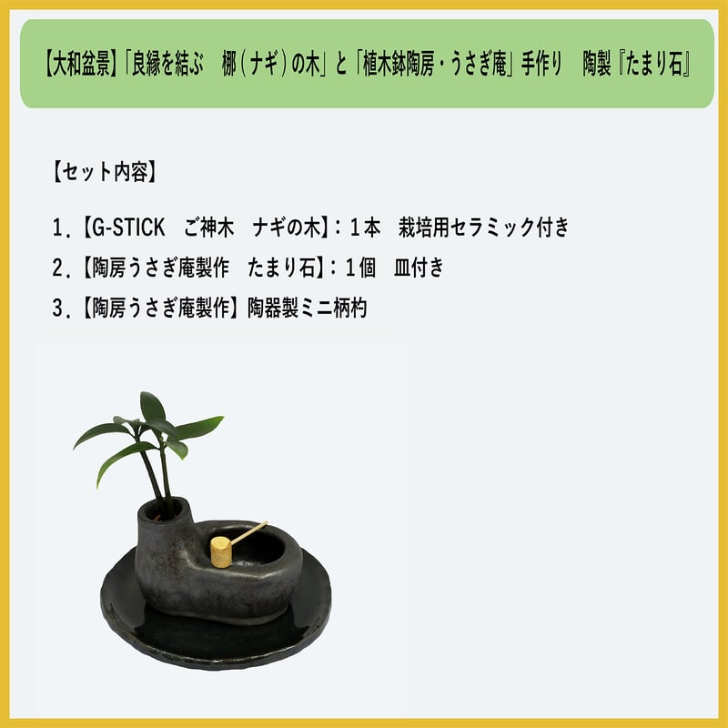 梛(ナギ)の木」と「たまり石」 | G−STICK