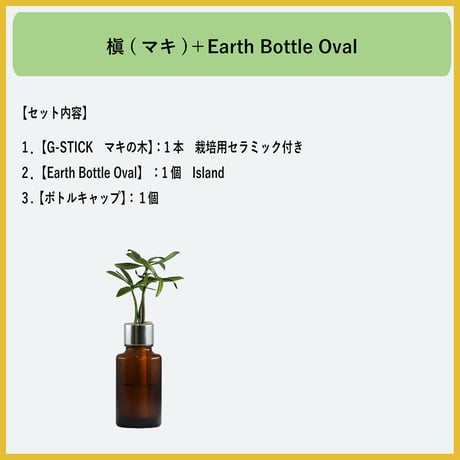 【G-STICK】 観葉植物 マキの木（槇 慈愛/色褪せぬ恋） Earth Bottle - Oval｜セラミック栽培（土なし・自動給水）｜水やり簡単 インテリアグリーン
