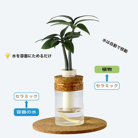 「梛(ナギ)の木」と『理系ガラス瓶』２個