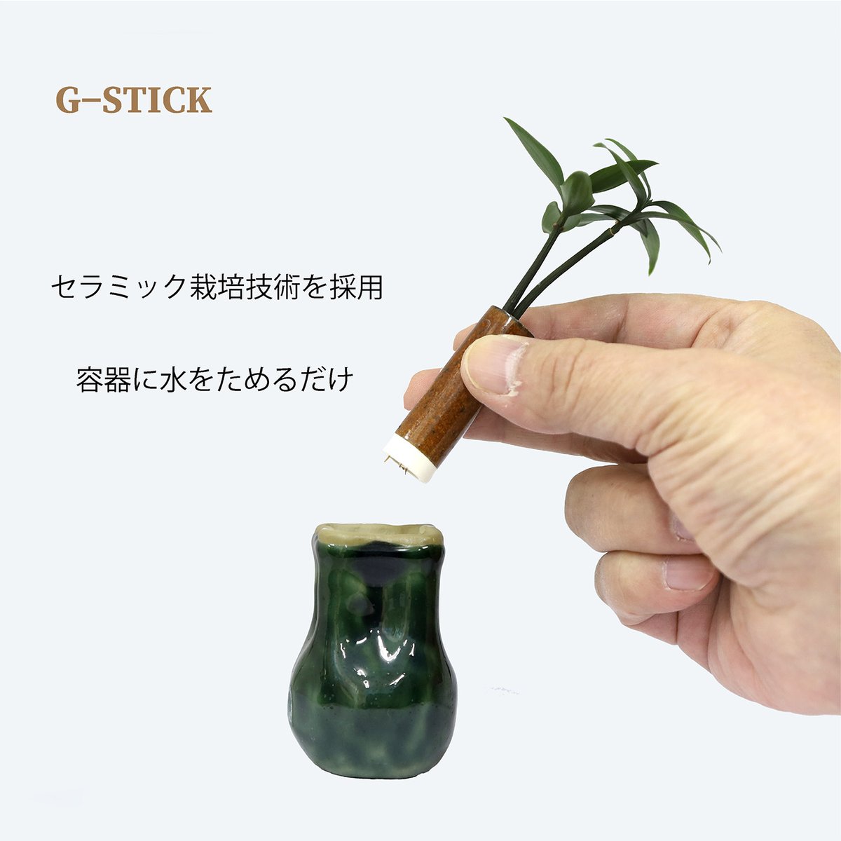 槇(マキ)の木」と「巾着」 | G−STICK