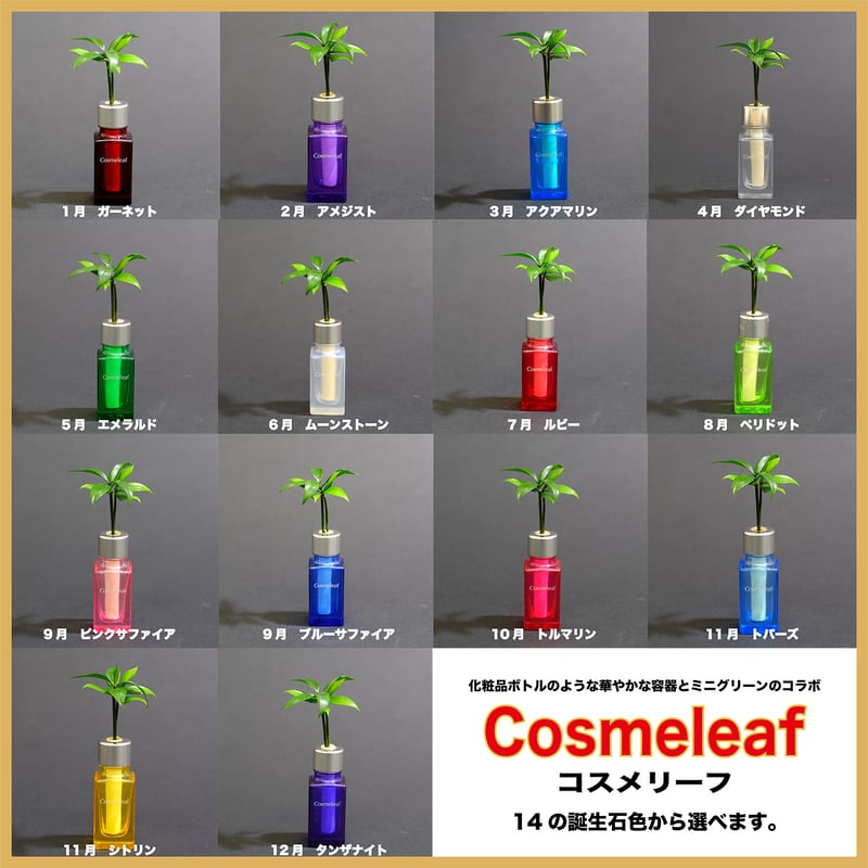 槇 (まき) の木」と「コスメリーフ 6月誕生石色 ムーンストーン