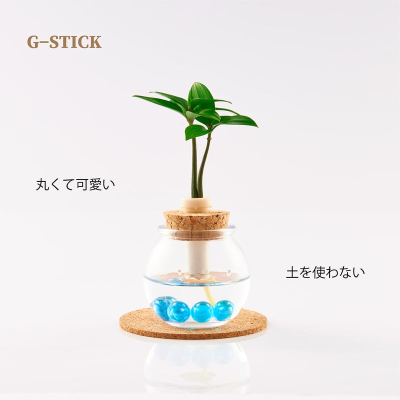 槇(マキ)の木」と『タマビン』1個 『籐籠付き』 | G−STICK