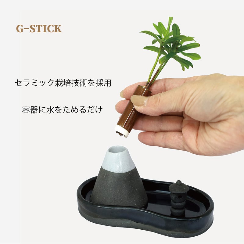 梛(ナギ)の木」と「富士」 | G−STICK
