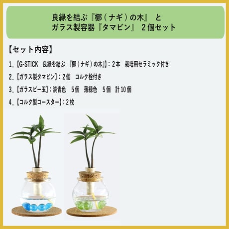 「梛(ナギ)の木」と『タマビン』 ２個