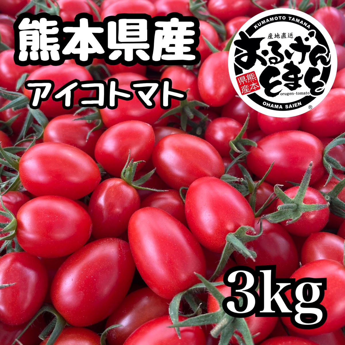 おるげんとまと 内容量3kg | おるげんとまと本舗