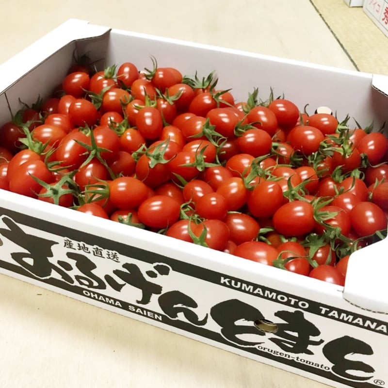 みにとまとあいこ3キロ ミニトマト アイコ 3kg 箱入り | ミニトマト アイコ