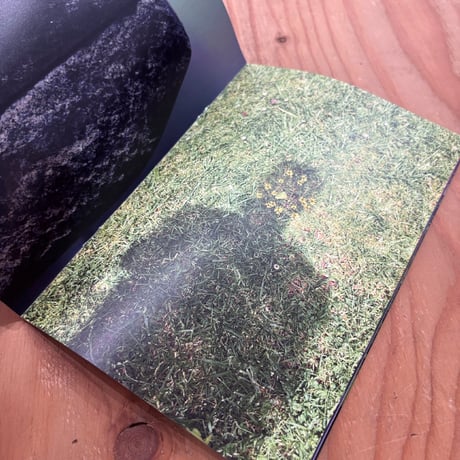 安野谷昌穂／ZINE／Luminous day after day