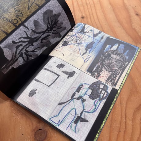 安野谷昌穂／ZINE／Luminous day after day