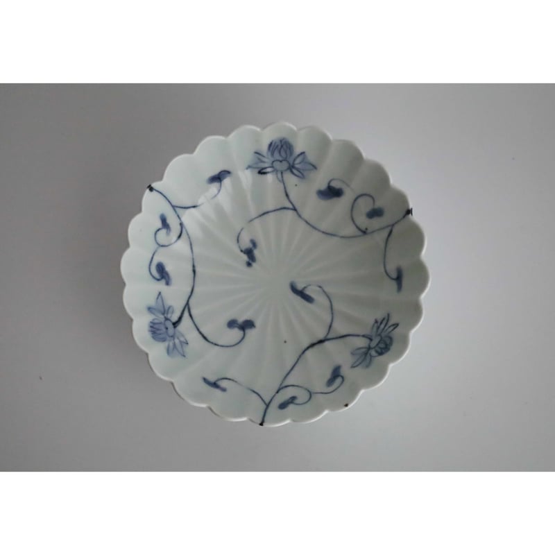 山口 利枝／唐草文輪花鉢 | sumica栖