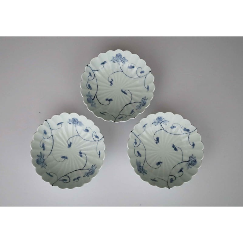 山口 利枝／唐草文輪花鉢 | sumica栖