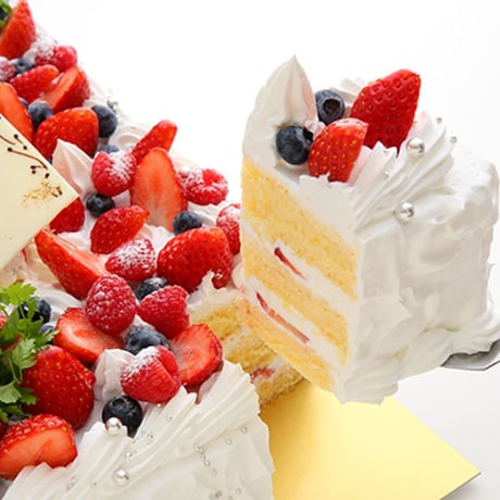 ビックサプライズ スクエア生デコケーキ