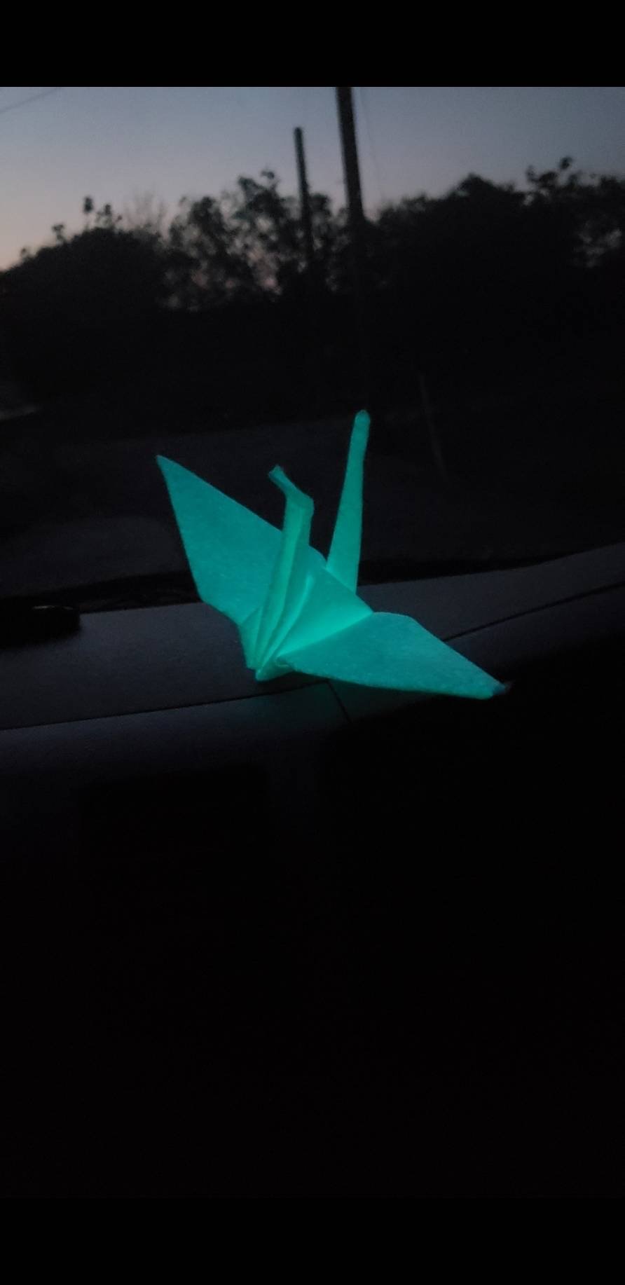 平和の色に光る折り鶴 ‐Paper cranes glowing in the colors