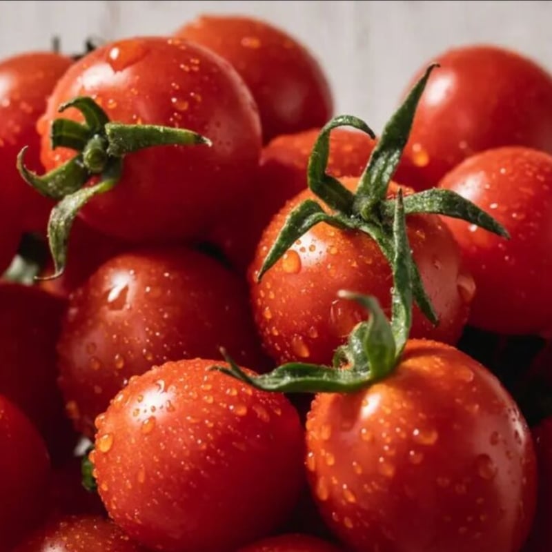冷凍】冷ッヒヤで栄養凝縮🍅特別栽培「冷凍宮トマト」1kg | 宮下農園