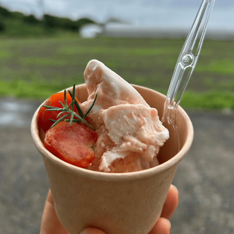 宮トマトチーズジェラート（80ml）6個セット｜濃厚チーズと完熟ミニ