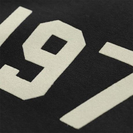 FOG ESSENTIALS/エッセンシャルズ  1977 PULL OVER HOODIE フーディー 裏起毛パーカーfog-1977-hoodie-2