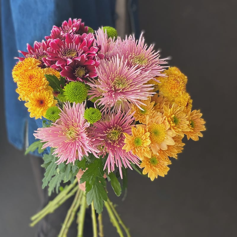 CATEGORY 受注商品 | noix