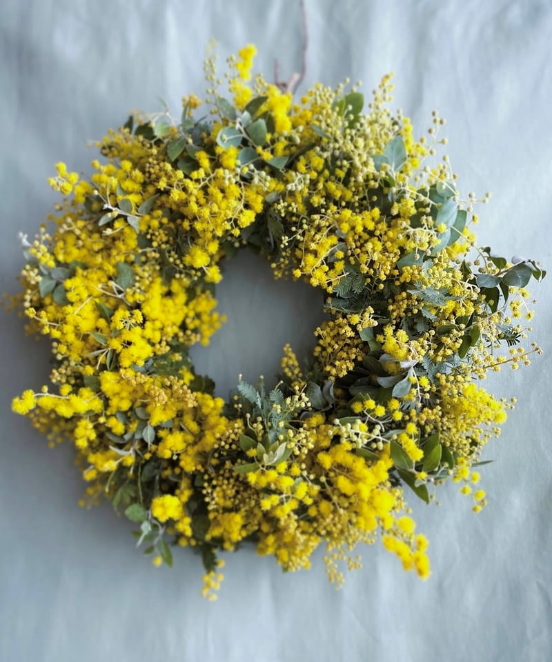 予約販売】seasonal wreath（Mサイズ）｜全国配送可 | noix