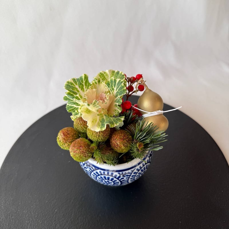 CATEGORY 予約商品 | noix