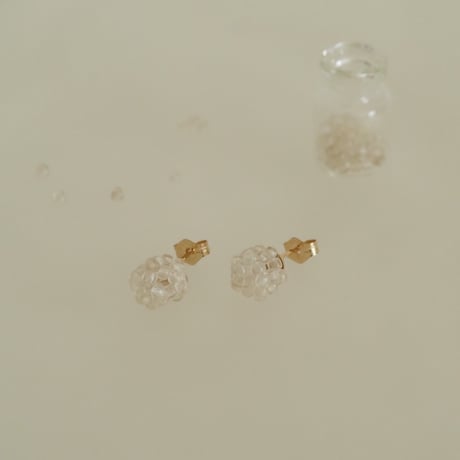 any'e／【別注】コンペイトウ　ボタニカルビーズピアス