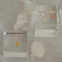 any'e／【別注】コンペイトウ　ボタニカルビーズイヤーカフ