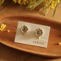cobito／耳飾り　p イヤリング