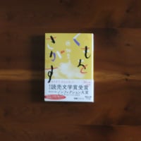 くもをさがす｜西加奈子