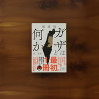 増補版　ガザとは何か｜岡真理