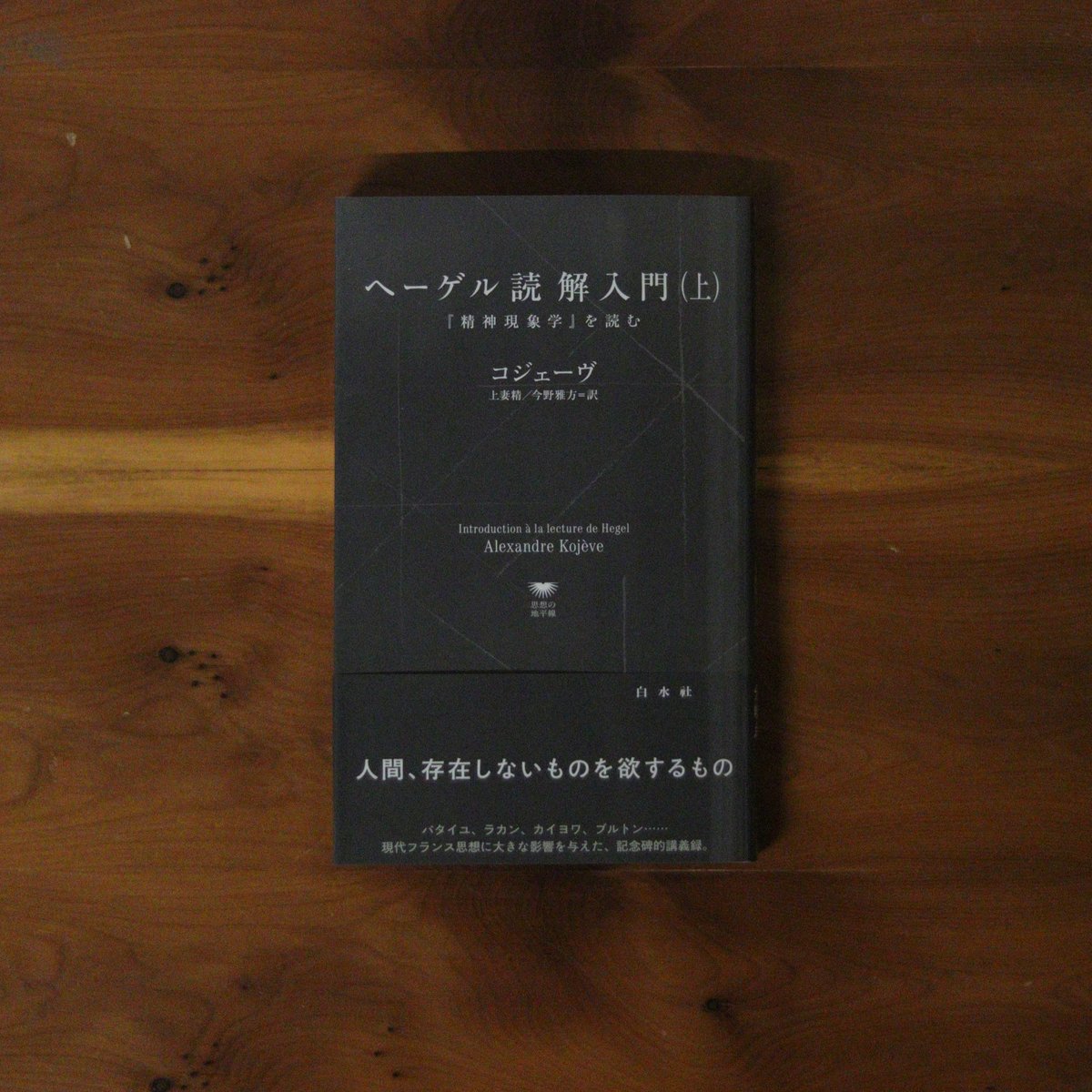 ヘーゲル読解入門（上）『精神現象学』を読む｜アレクサンドル